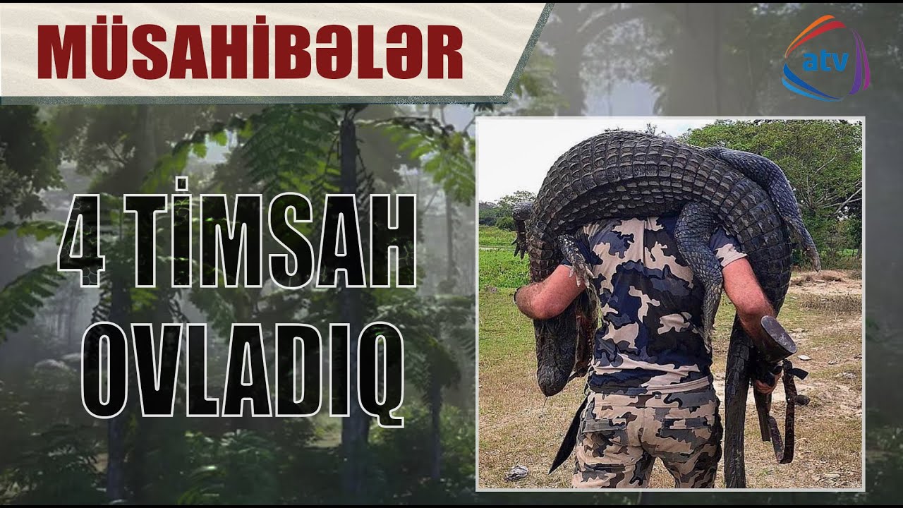 4 TİMSAH ovladıq. Faiq Babanlının ATV telekanalına m&uuml;sahibəsi. (Crocodile hunting).