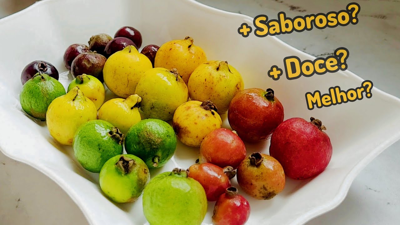 Comparação Entre Araçá Amarelo, Vermelho e Roxo