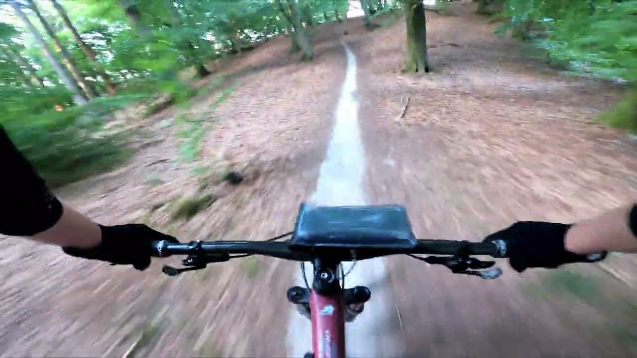 N&oslash;rreskoven ved Fures&oslash;en p&aring; MTB - Stejle og tekniske sektioner