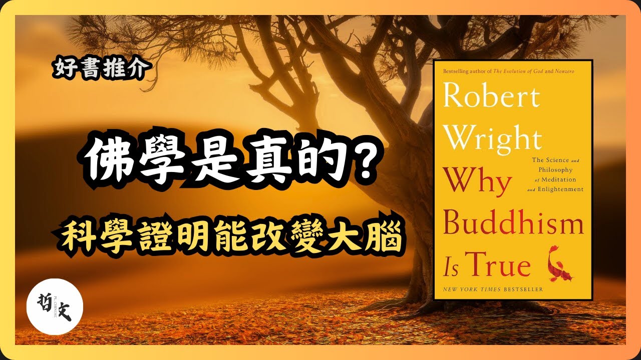 Ep037《為什麼佛學是真的？》Robert Wright〡科學證明佛學能改變大腦？佛學不只是宗教？科學與進化心理學的驚人解釋！