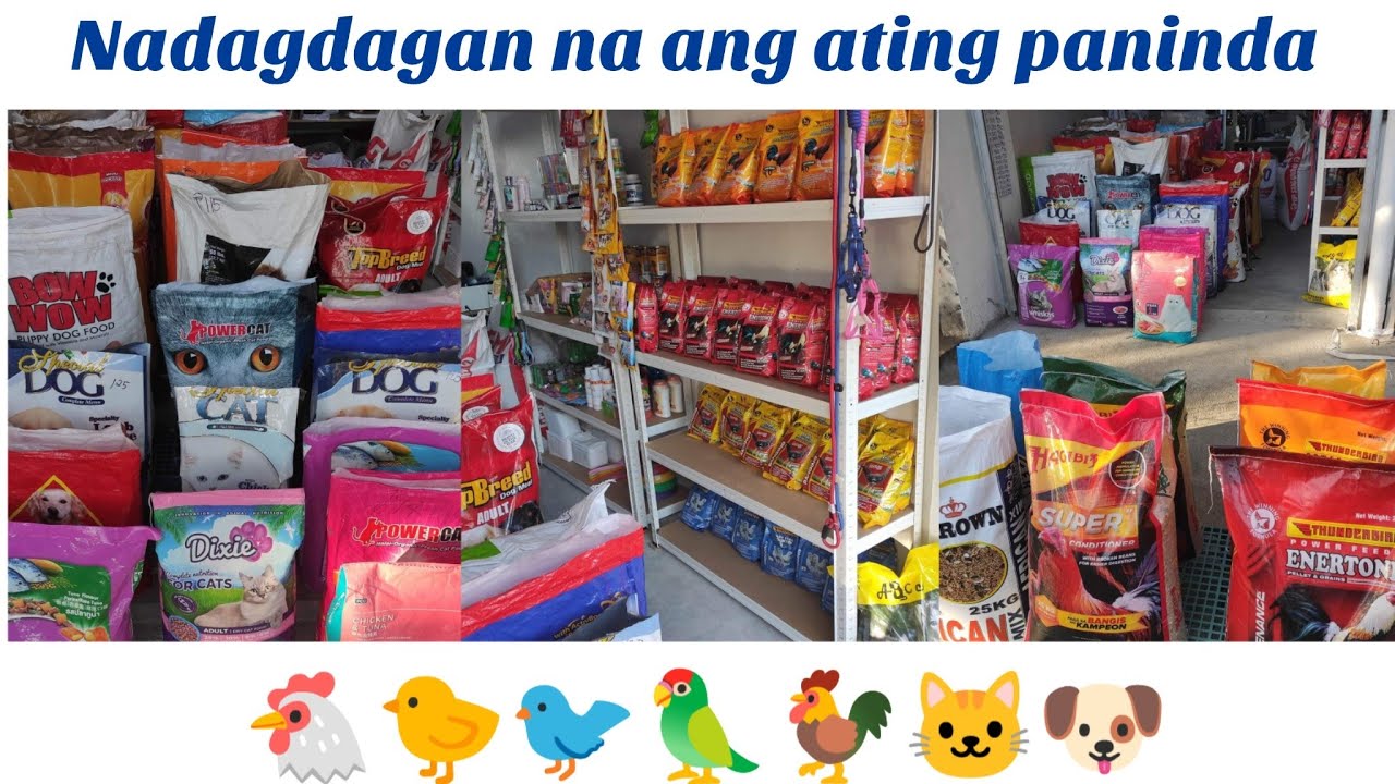 Fast Moving Items Products sa Pet Store - Usapang Negosyo (Yam Pet Supplies)