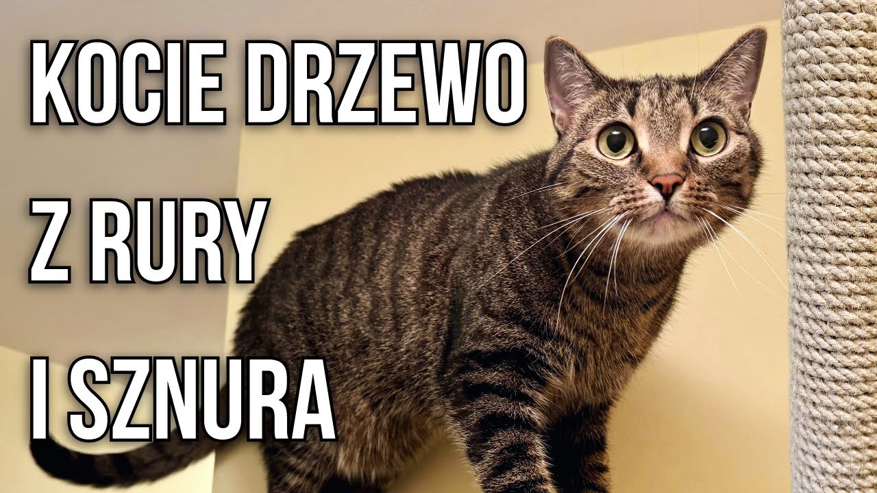 Kocie Drzewo z Rury Kanalizacyjnej i Sznura - MyProdżekts