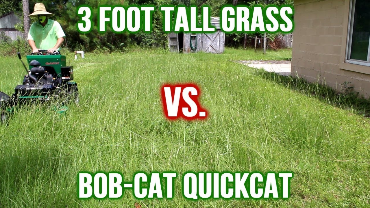 Mowing Tall Grass On Vacant Property | Oddly Satisfying Lawn Care | Time Lapse, Music