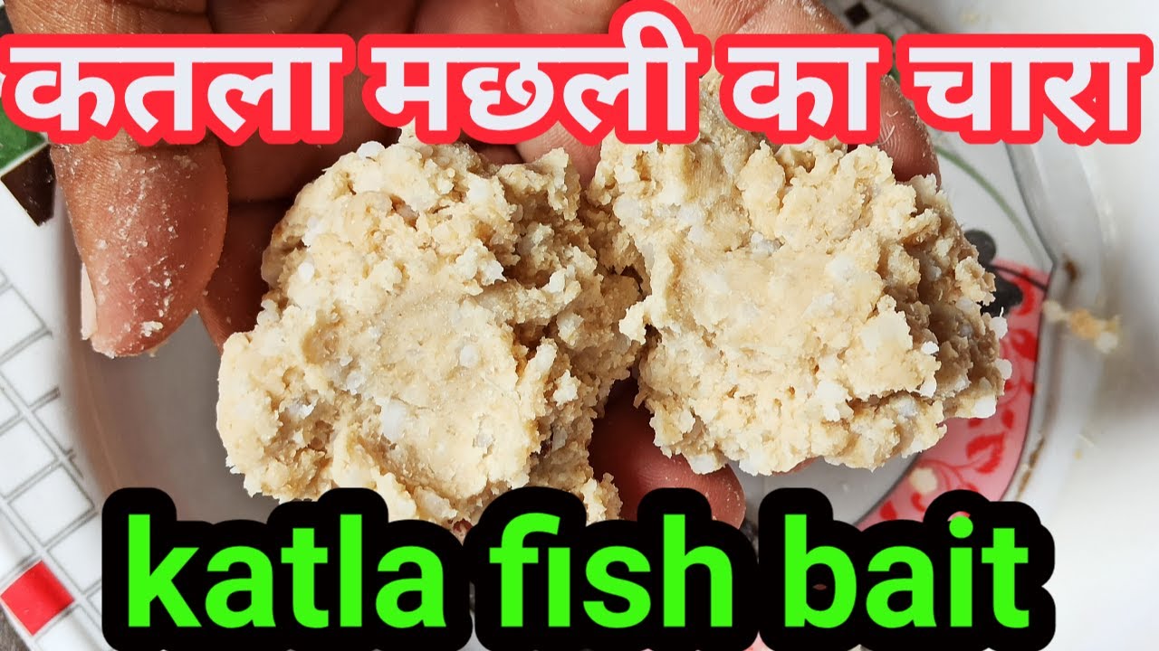कतला मछली का चारा || कम समय में ज्यादा शिकार करने के लिए || katla fish bait || Sundar Bihar