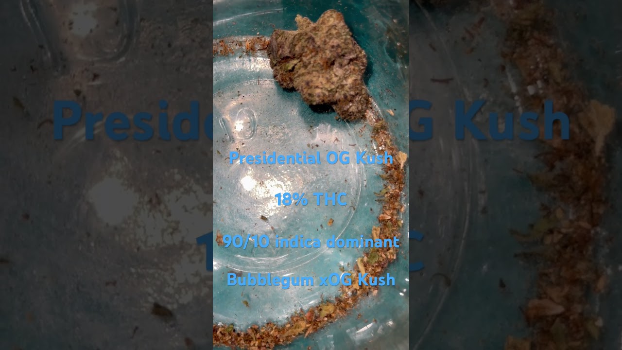 Presidential OG Kush Cannabis Strain #strainreviews #420 #cannabiseducation #cannabiscommunity