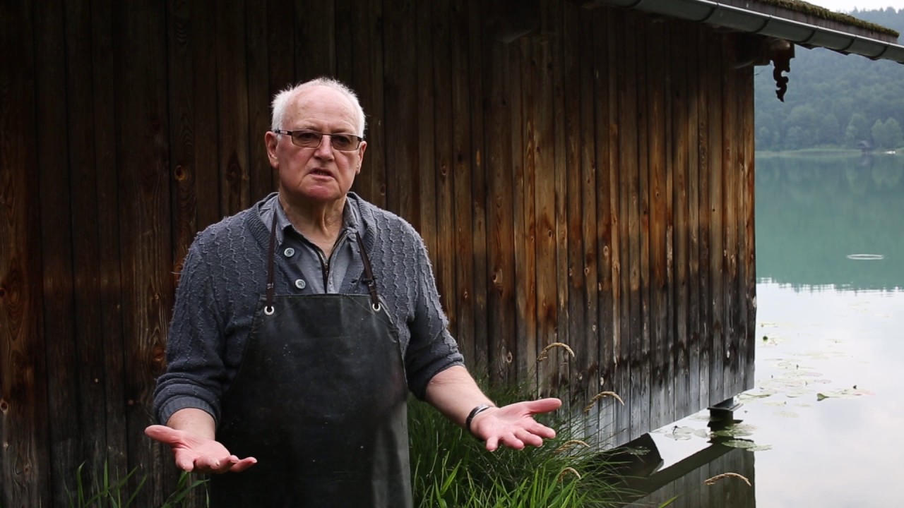 Renkenfischen am Waginger See - Netze einholen mit Sepp Kraller