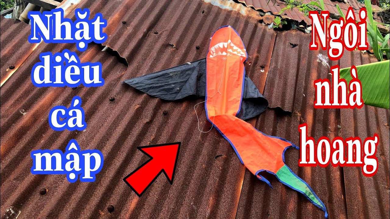 Nhặt được diều cá mập trên nóc nhà hoang và cái kết | Thả diều cá mập