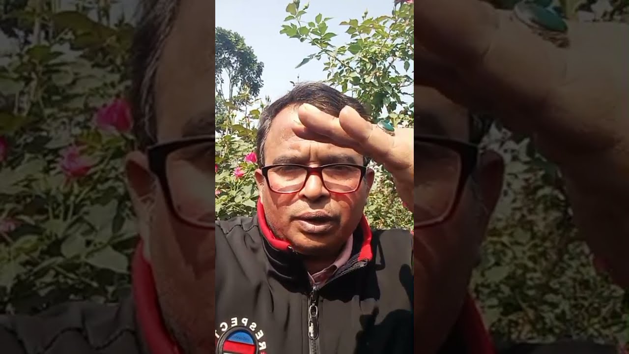 গদখালি বেনাপোল গোলাপ ফুলের জমিতে আমার লাইফ দেখুনxturvalogx long video Valog
