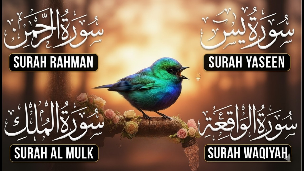 Surah Yaseen, Ar-Rahman, Al-Waqiah & Al-Mulk — Relaxing Quran Recitation All Night Long