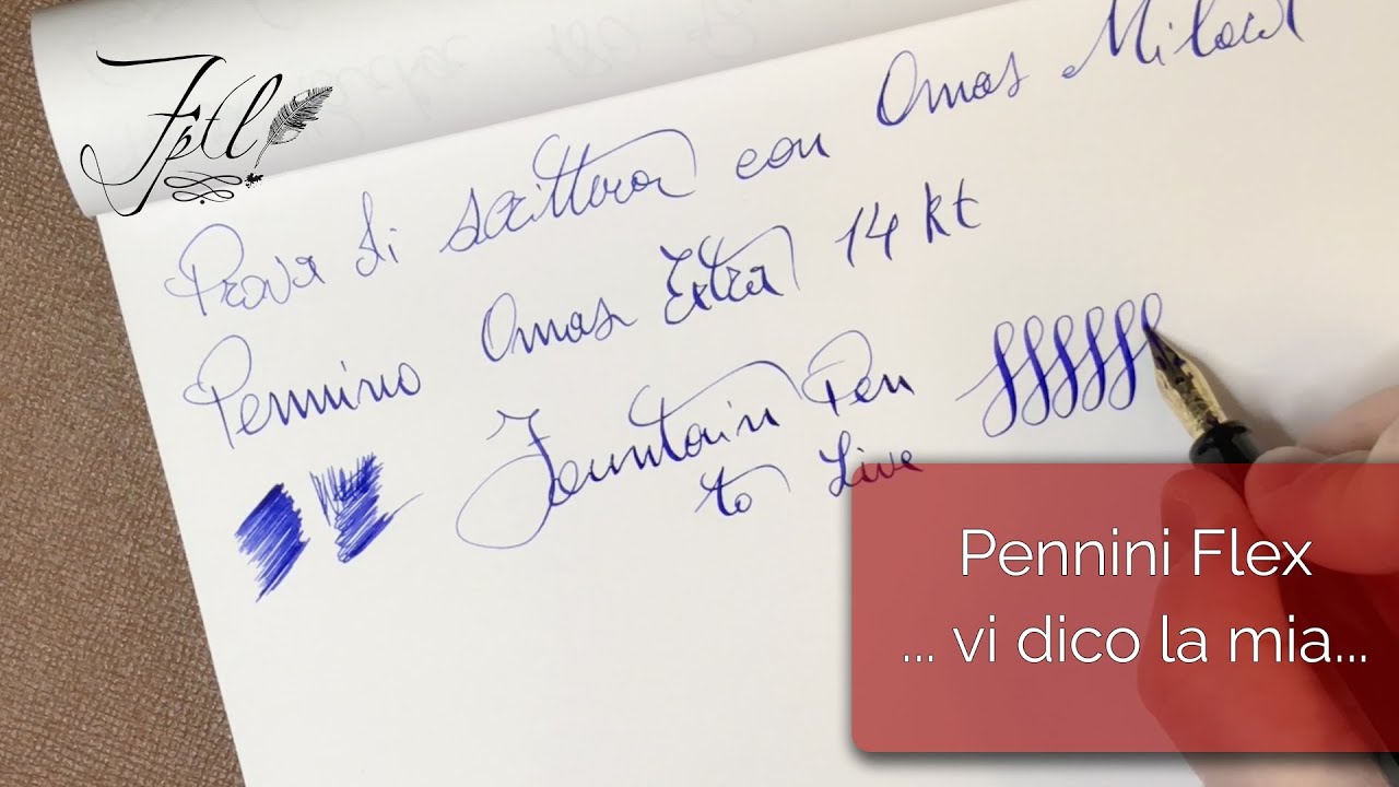 Pennini Flex - Flex Nib  ...vi dico la mia....
