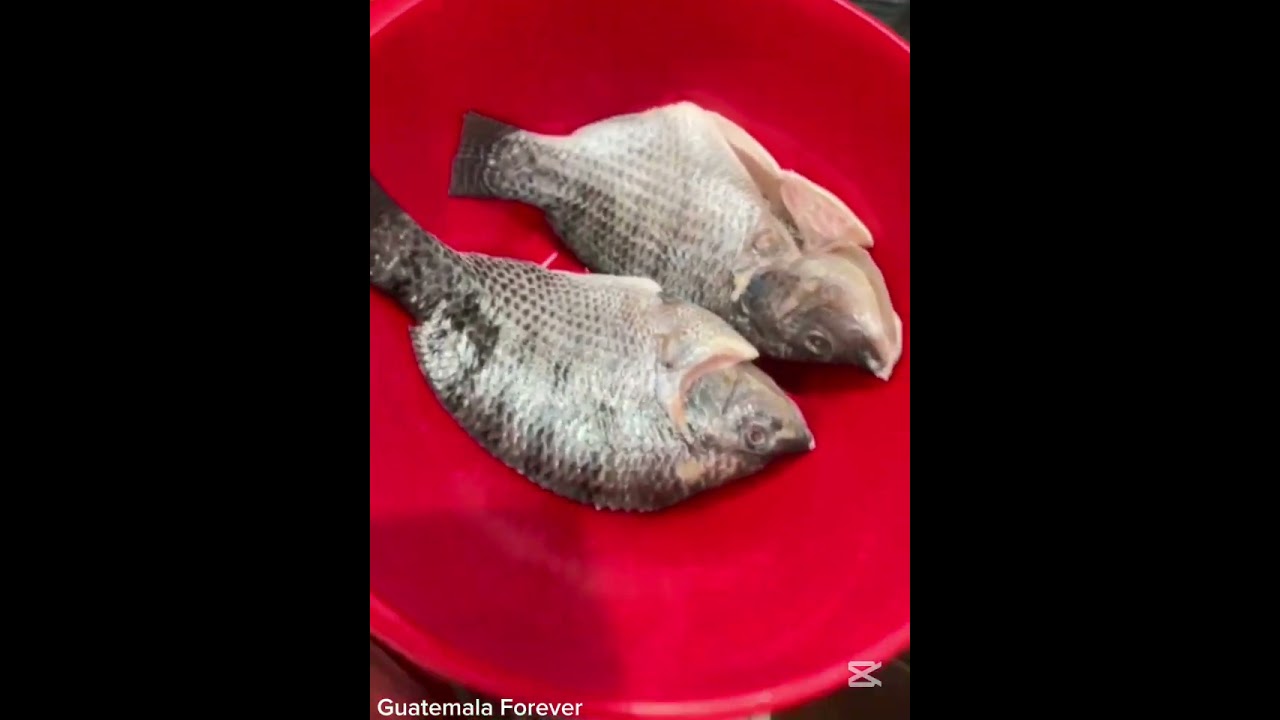 Pescado frito 🤤👩‍🍳