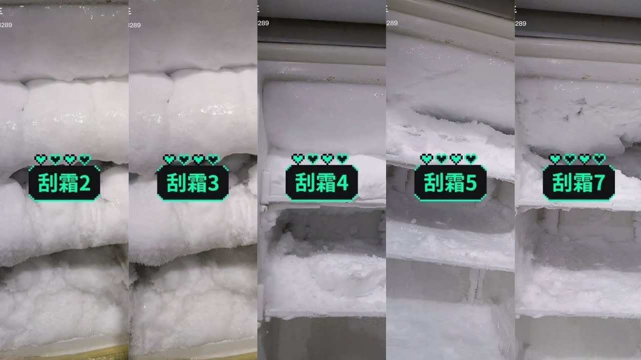 ASMR FREEZER FROST #21