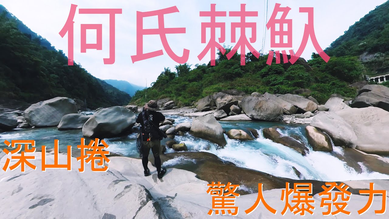 教召前一天拜訪深山大捲 狂暴拉力教我該換鉤子了! 太小看這些山中棘魞魚了 水表路亞釣捲仔視覺效果真爽 #路亞 #溪釣 #捲仔 #何氏棘魞 #棘魞