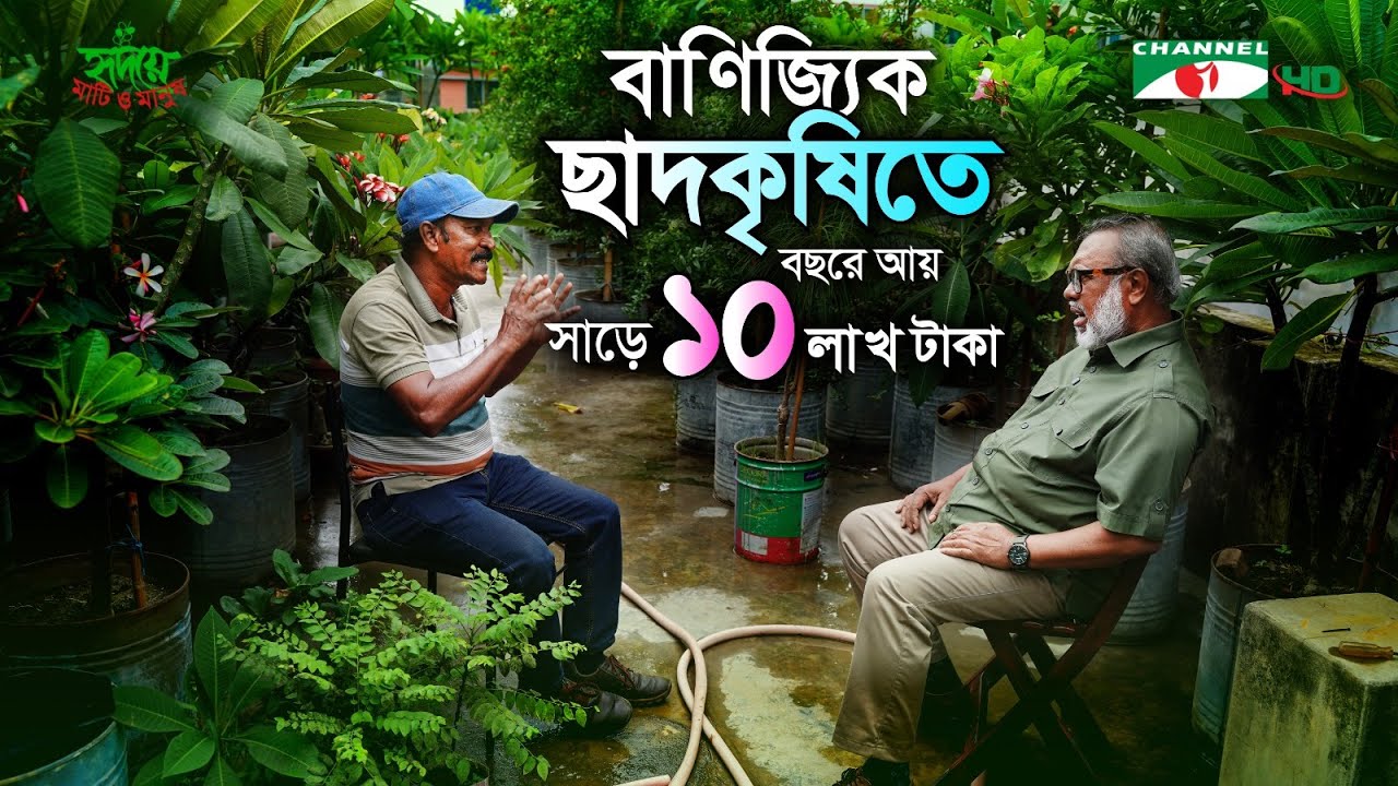 ছাদে গড়ে উঠেছে নার্সারি | কাঠগোলাপ চারা থেকে আয় | পর্ব ৩৪৭ | Shykh Seraj | Channel i |