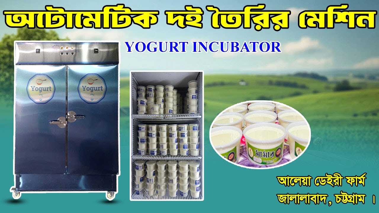 দুধ দিয়ে খাঁটি দই,ঘি,মাঠা ও মাখন তৈরির লাভজনক ব্যবসা, Yogurt Maker II  সফল নারী উদ্যোক্তা, চট্টগ্রাম