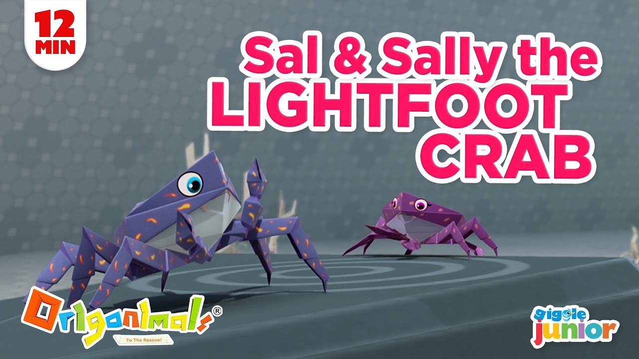 Episode 12. FUN CARTOON FOR KIDS - SALLY LIGHTFOOT CRAB: FAST AND FEARLESS