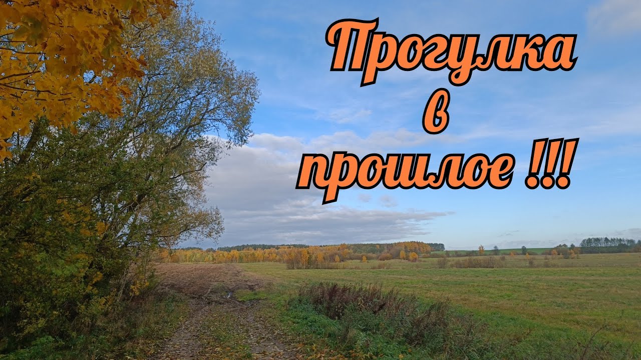 Прогулка в прошлое!!!/коп монет/коп старины