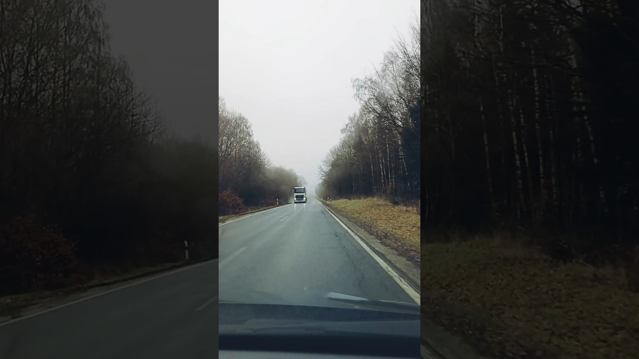 Коли їдеш крізь туман і дощ 🚛🌧
