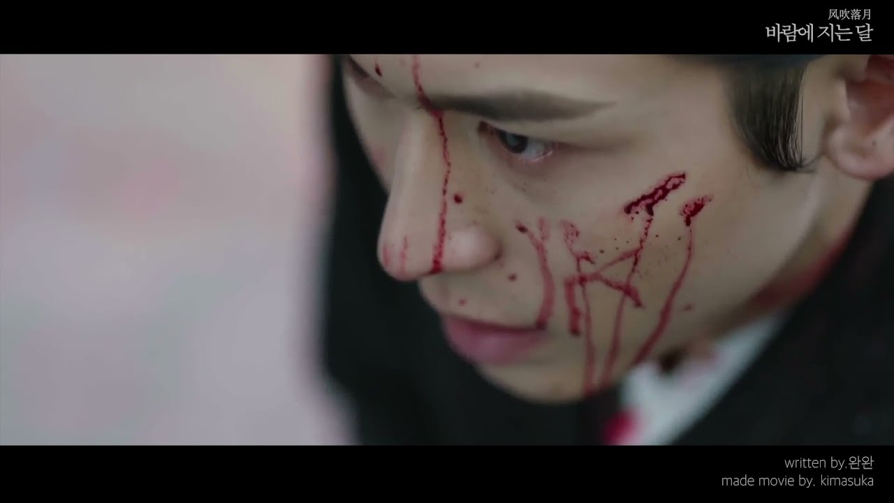 [FMV] 산하령山河令 바람에 지는 달风吹落月 (浪浪钉)