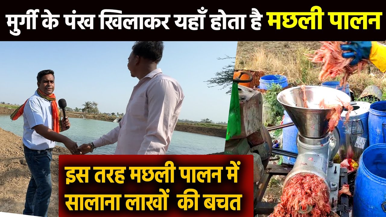 मछली पालन में Waste Food Feed से सालाना लाखों की बचत करता है ये किसान Keema cutter Machine for fish