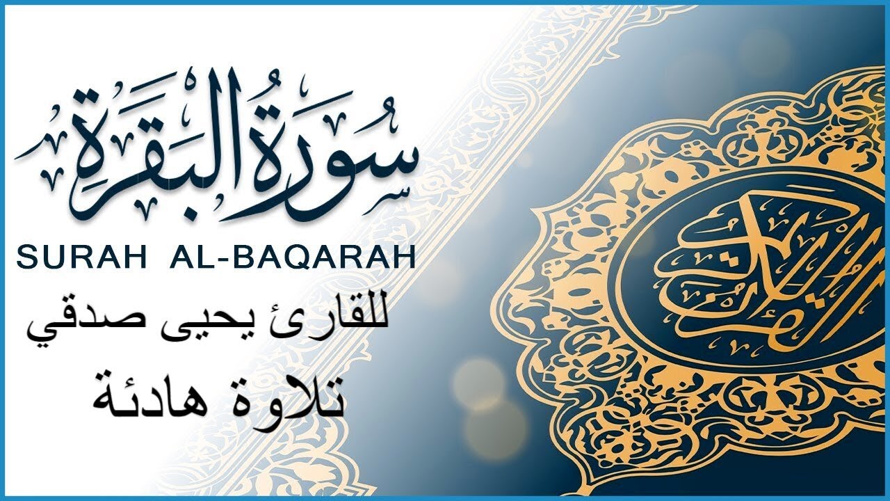 سورة البقرة تلاوة هادئة | للقارئ يحيى صدقي #سورة_البقرة #سوره_البقرة