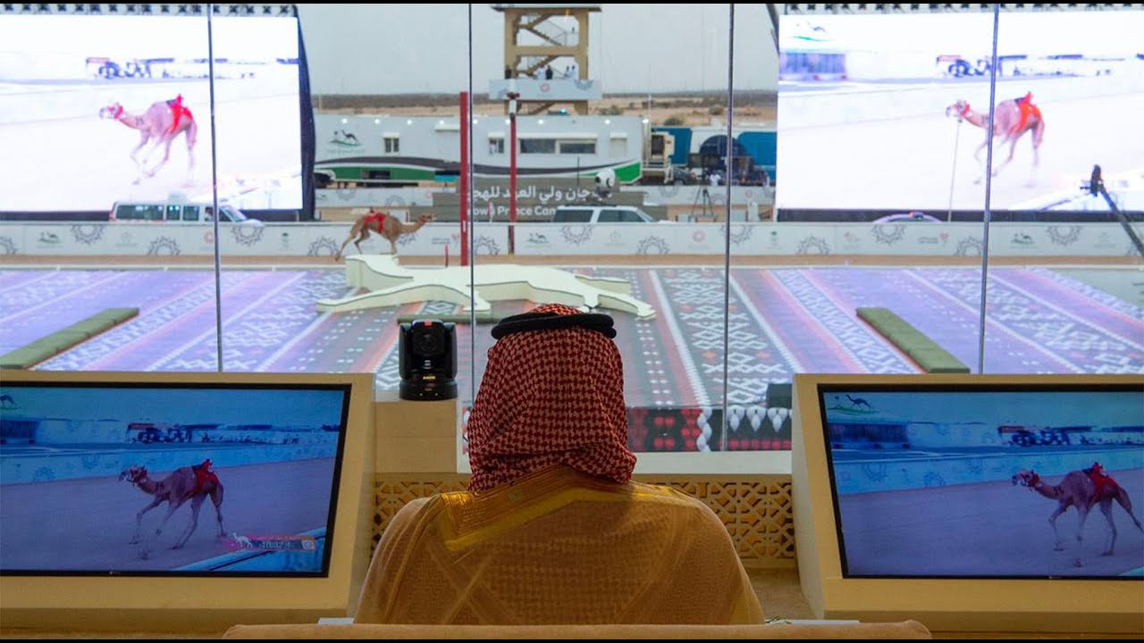ملخص رعاية محمد بن سلمان للحفل الختامي لمهرجان الهجن الثاني بالطائف