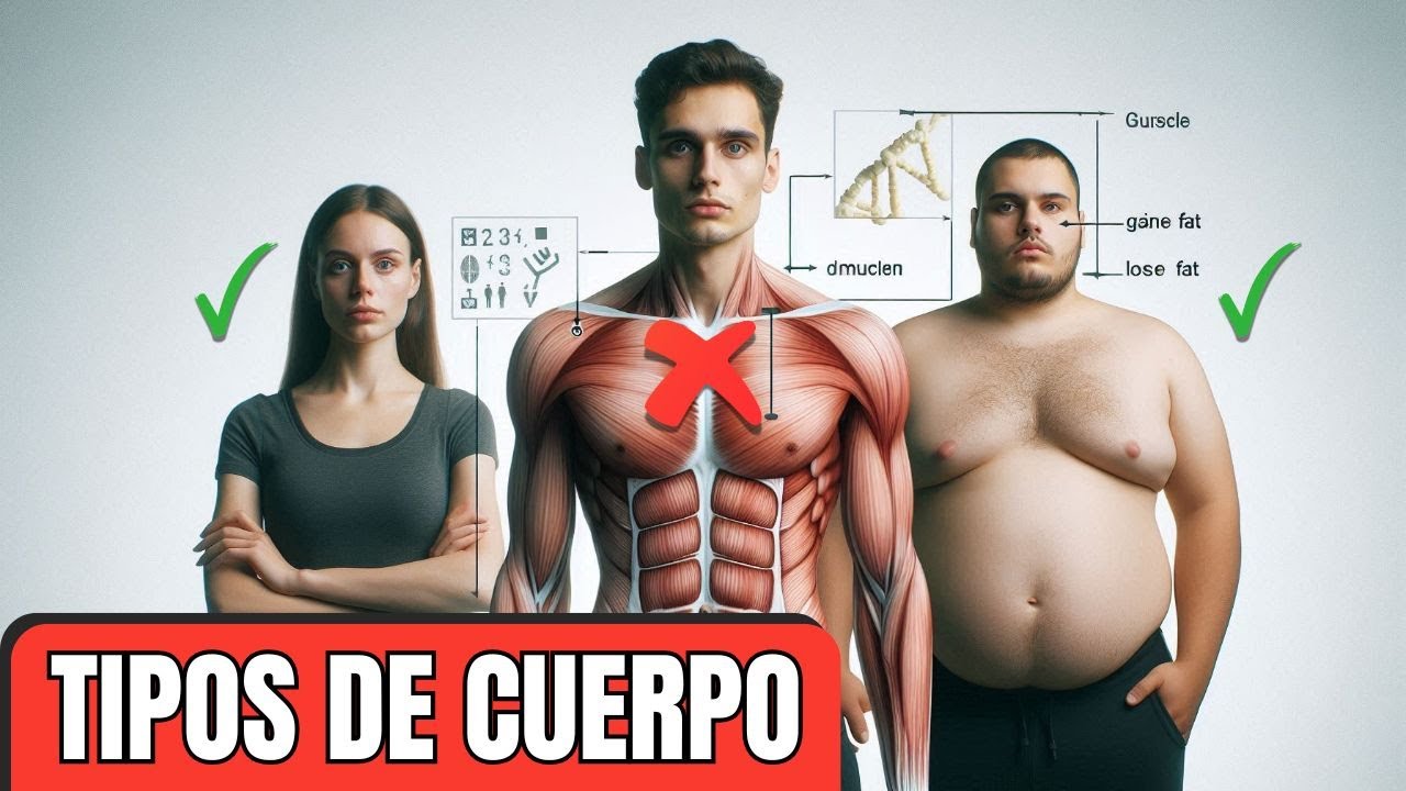 Descubre tu GENÉTICA: pierde GRASA, gana MÚSCULO y transforma tu CUERPO