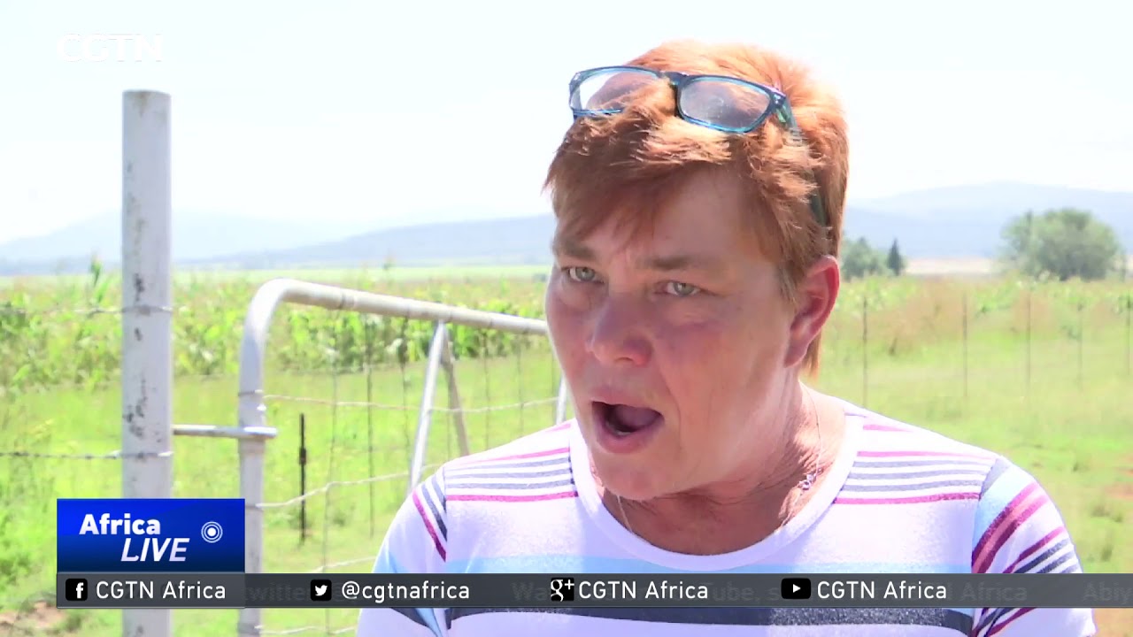 Australian minister pushes ahead plan to resettle white farmers from South Africa