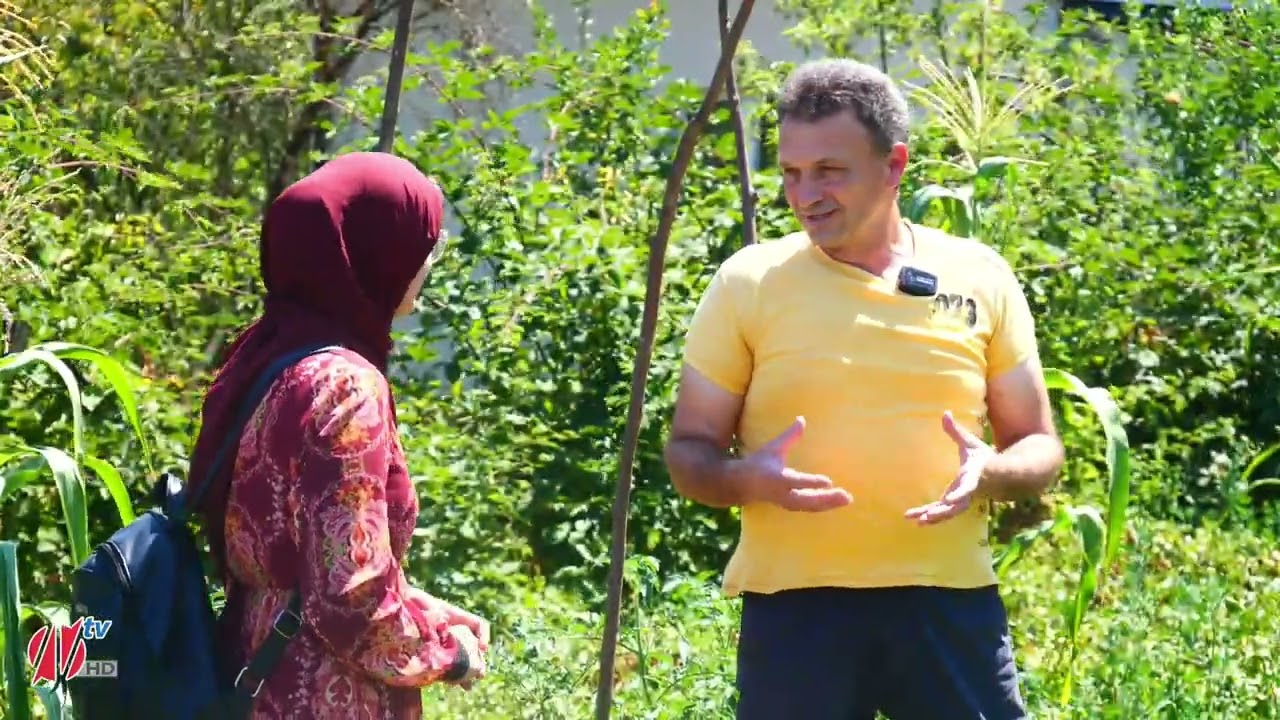 Lubenice iz Gornje Lukavice - slatke kao med: Bez kapi vode uzgoji preko 5 tona lubenice u svom vrtu