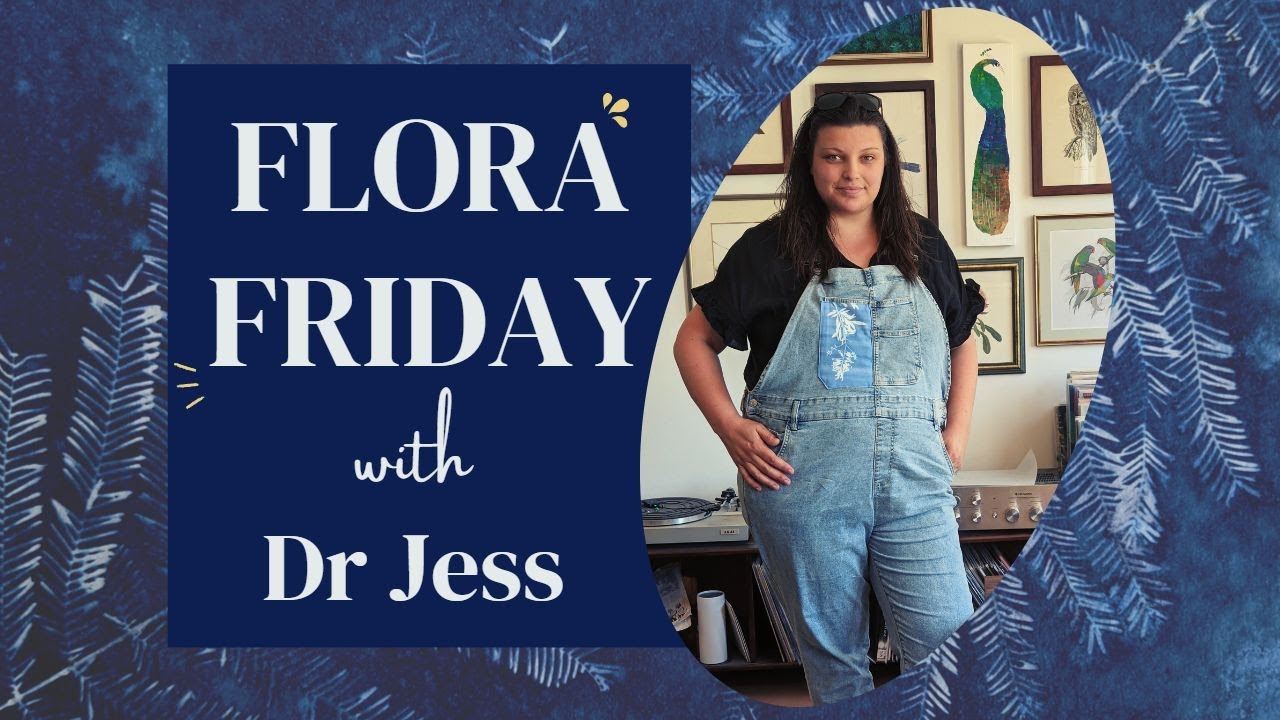 Flora Friday - Kangaroo Grass - Blue Bower Art Studio