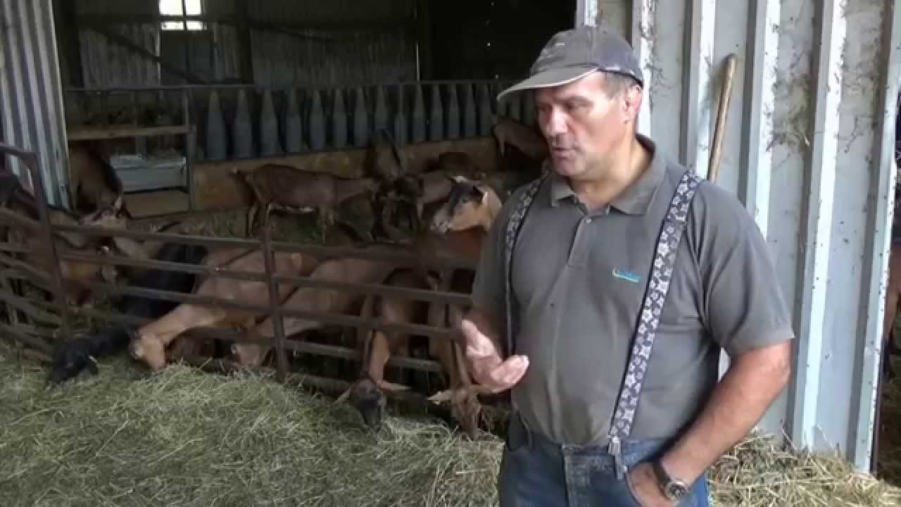 SECHOIR FOIN COMPACT: INTERVIEW AVEC UN ELEVEUR DE CHEVRES, FRANCE