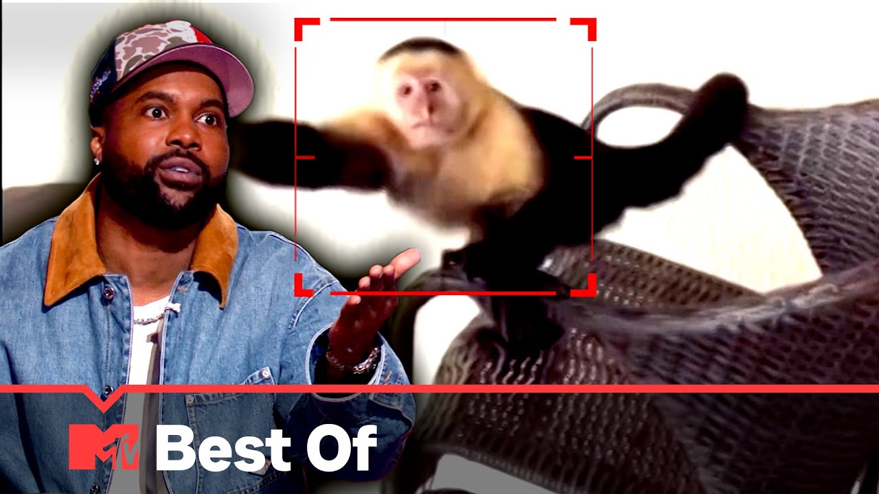 Ridiculousnessly Popular Videos: Unruly Animals Edition 🙊 Ridiculousness