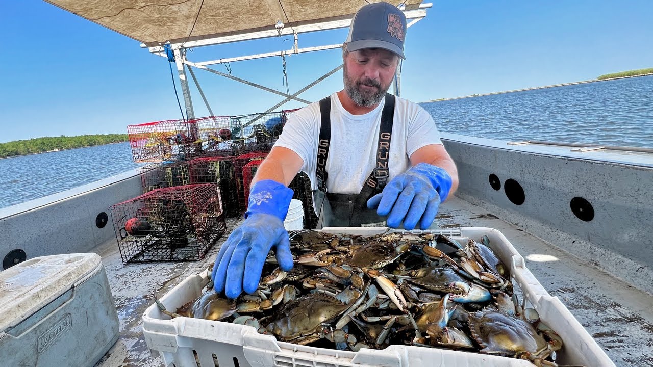 Why is Crab Fishing a Tough Industry?