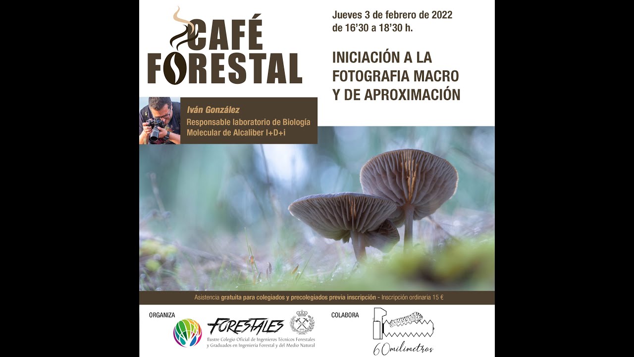 CAFÉ FORESTAL 