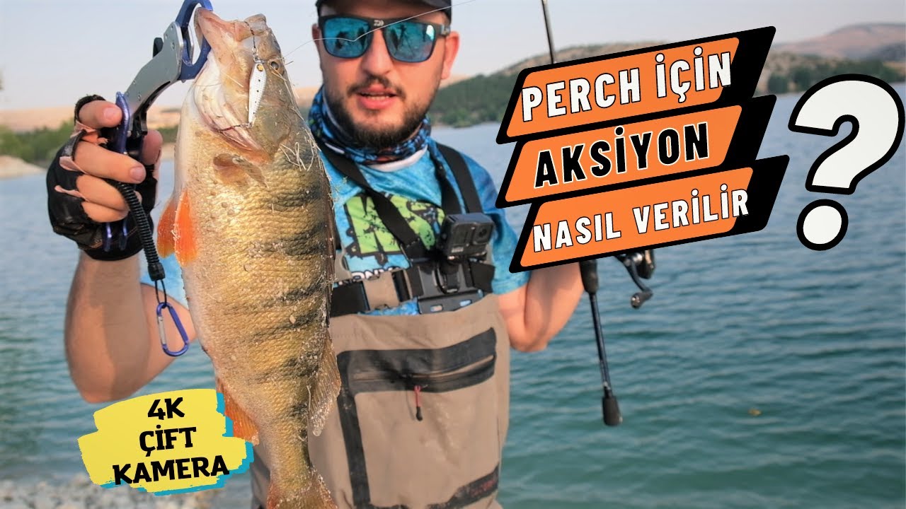 Perch İ&ccedil;in Aksiyon Nasıl Verilir ? Tatlı Su Levreği Avı / Perch Avı !