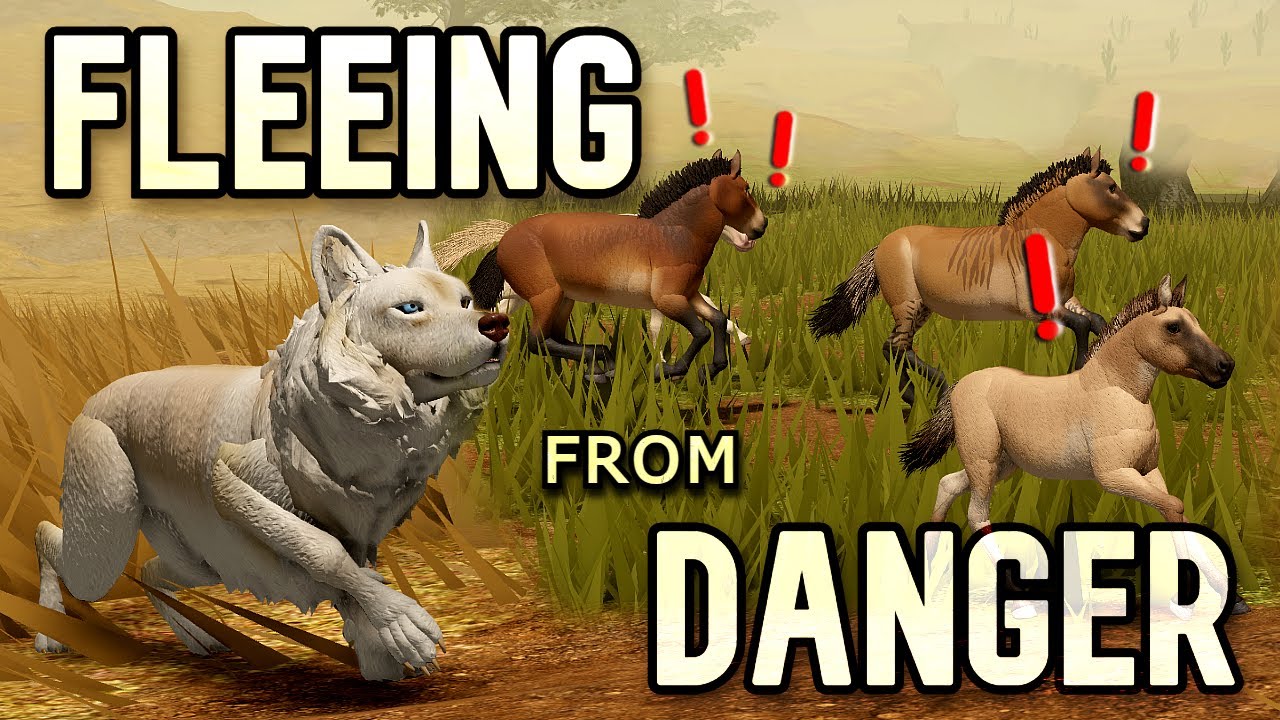 Fleeing from Danger | Sonora | Longplay Session (No Commentary)