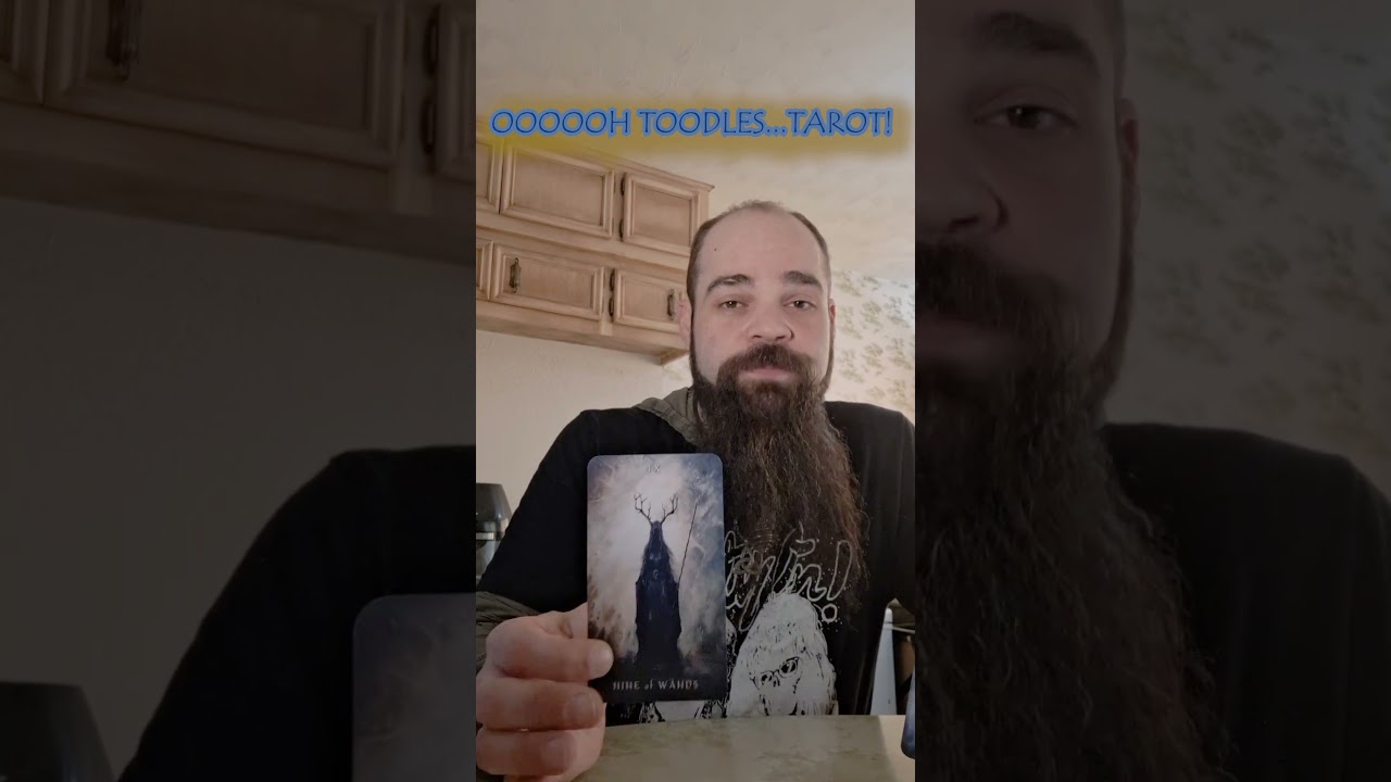 Reflective Tarot Reading  #3cardreading #tarot #divination #tarotreading #tarotreader #divinationtok