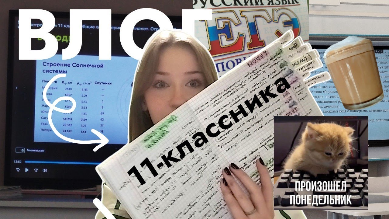 БУДНИ ОДИННАДЦАТИКЛАССНИЦЫ (совсем мини влог)