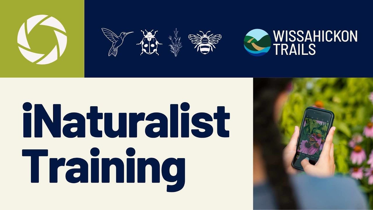 Discover Nature with iNaturalist! | Full Training Session