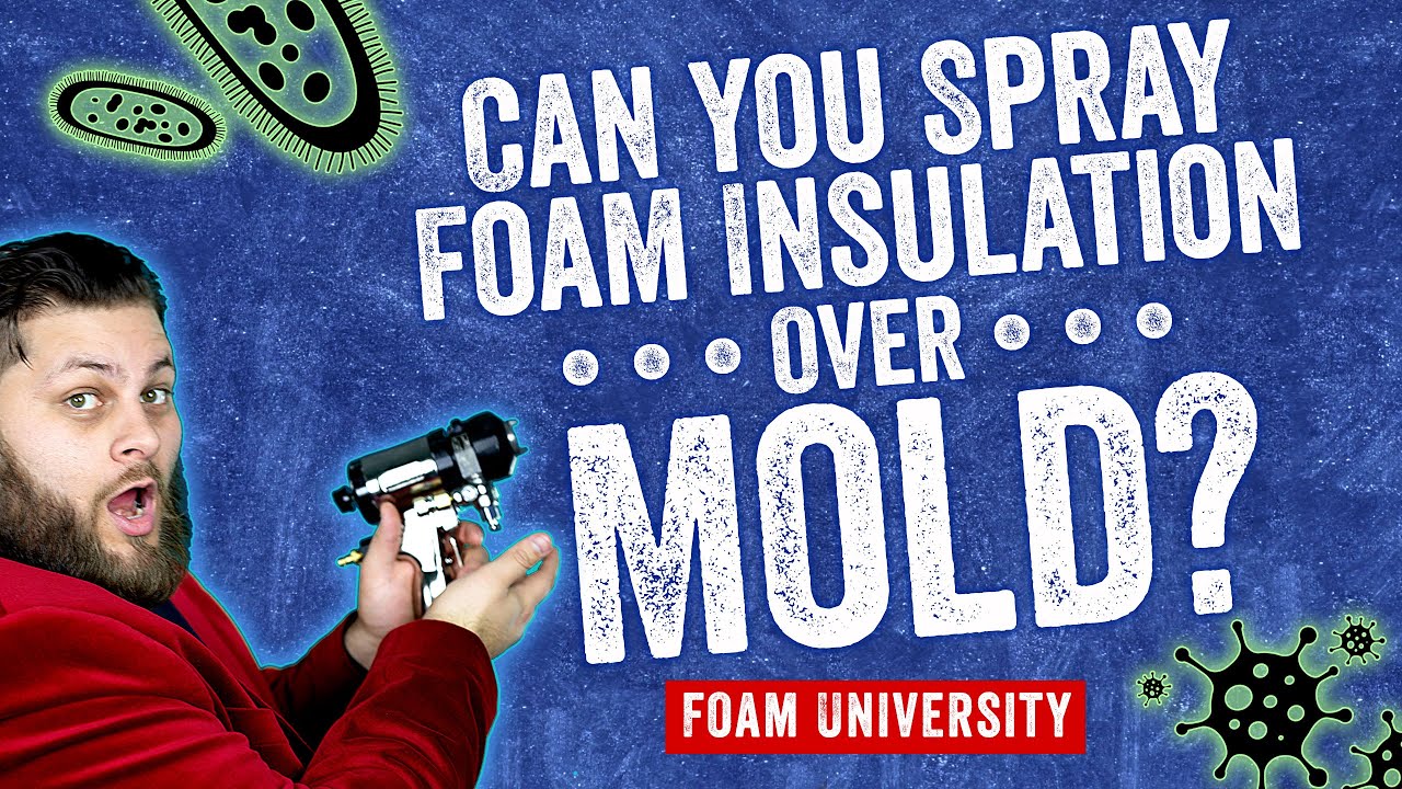 Can You Spray Foam Insulation Over Mold? | Foam University