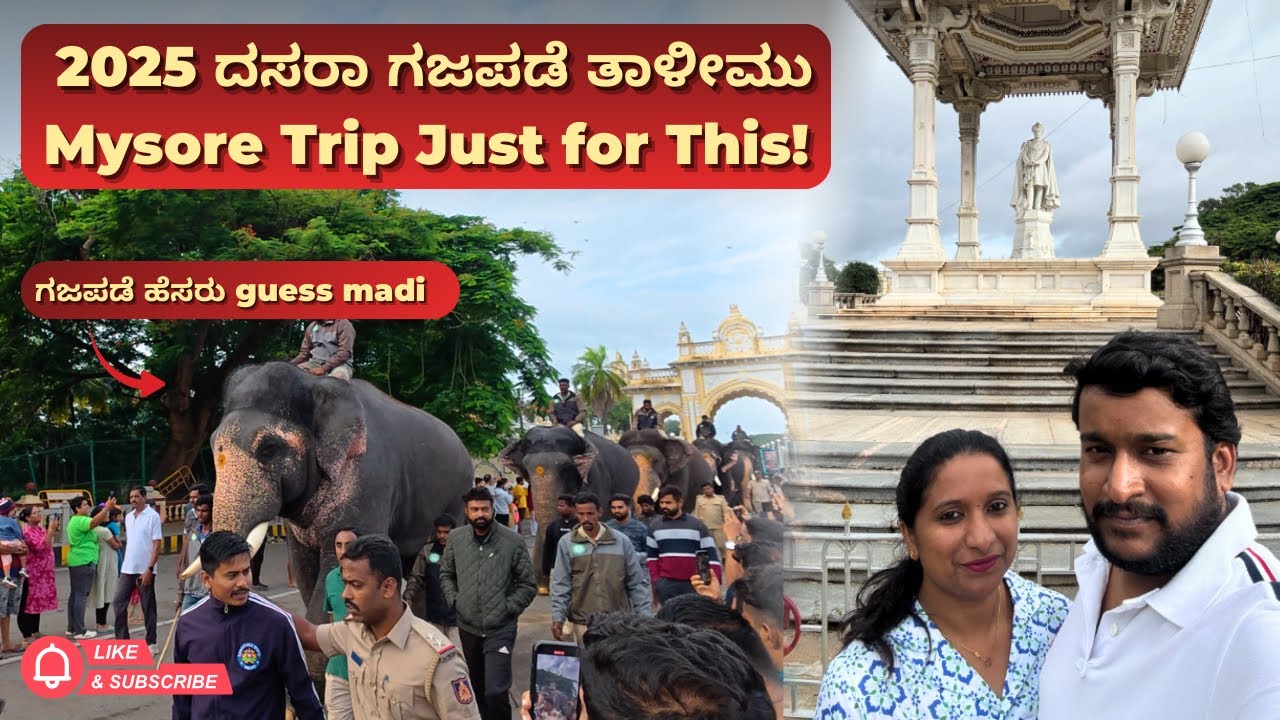 2025ರ ಮೈಸೂರಿನ ದಸರಾ ಗಜಪಡೆ ತಾಳೀಮು ಹೇಗಿರುತ್ತದೆ?|Mysore Trip Just for This #elephant #mysoredasara2025