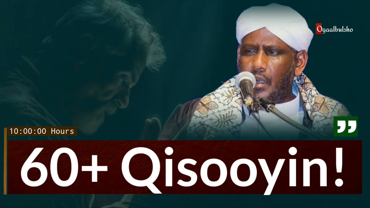 60+ Qisooyin saameyn iyo ku cibro qaadasho mudan || Sheekh Saalax Macalim