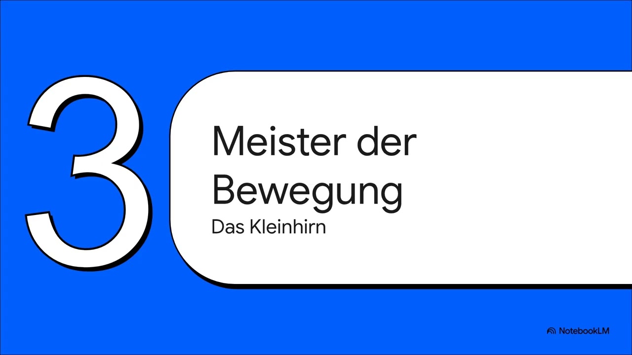 Der Autopilot des Gehirns