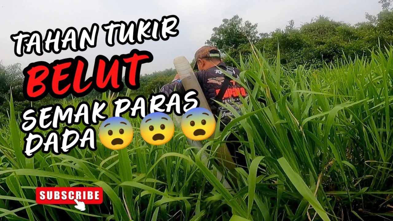 TAHAN TUKIR BELUT DISPOT RANDUK #vlog133 #unlimitedhobby #unlimitedfishing