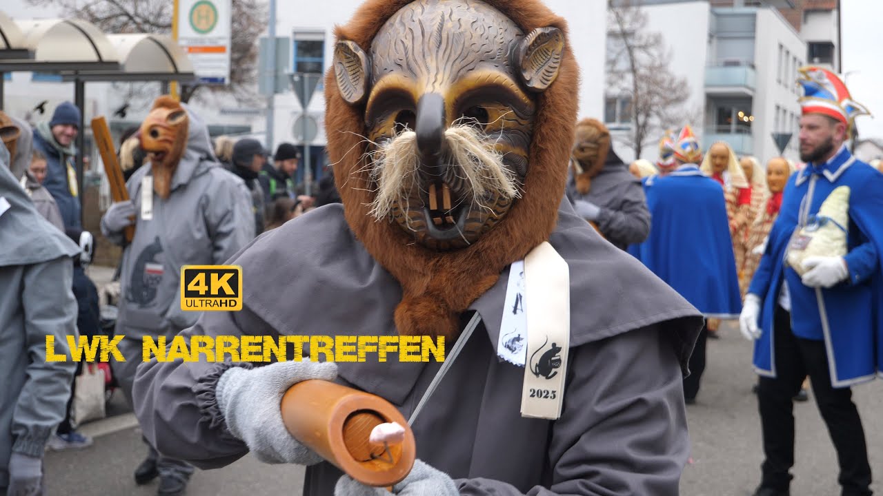 Fasnet Umzug in Leinfelden, LWK Narrentreffen Teil4