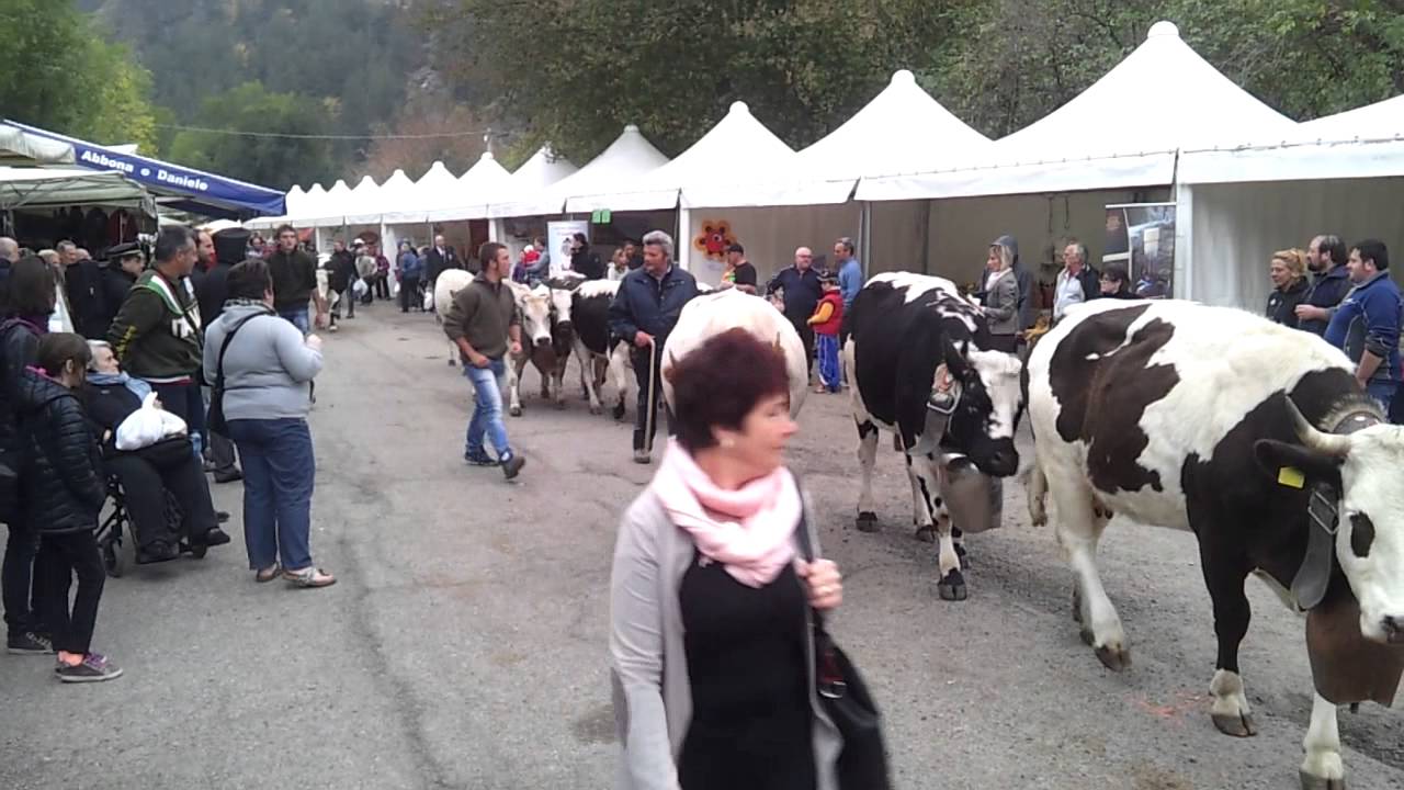Oulx: Fiera Franca1 (05-10-2014)