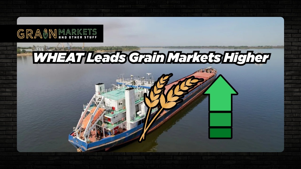 Wheat Prices SURGE on Black Sea Export Disruptions - Row Crops Follow