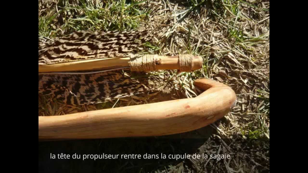 sagaie en d&eacute;tails
