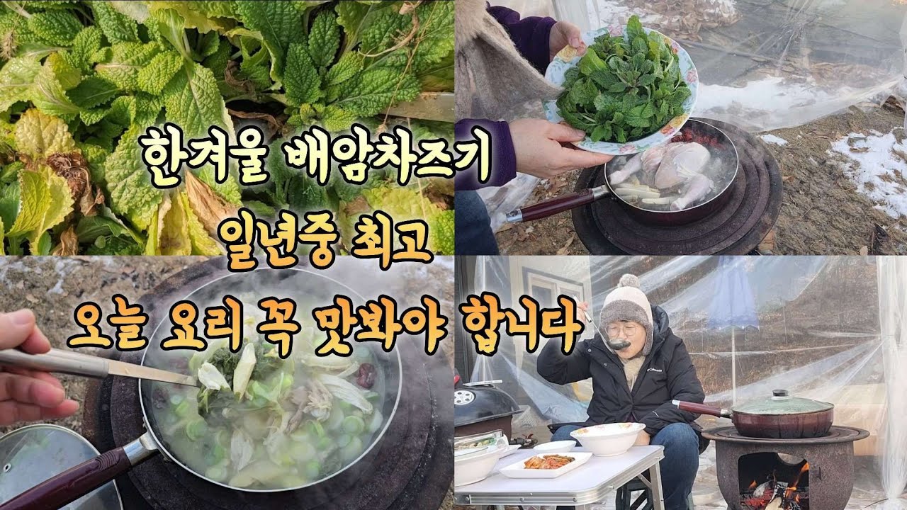 한겨울 배암차즈기 닭곰탕 일년중 최고 어디에서도 사먹을수 없는 맛