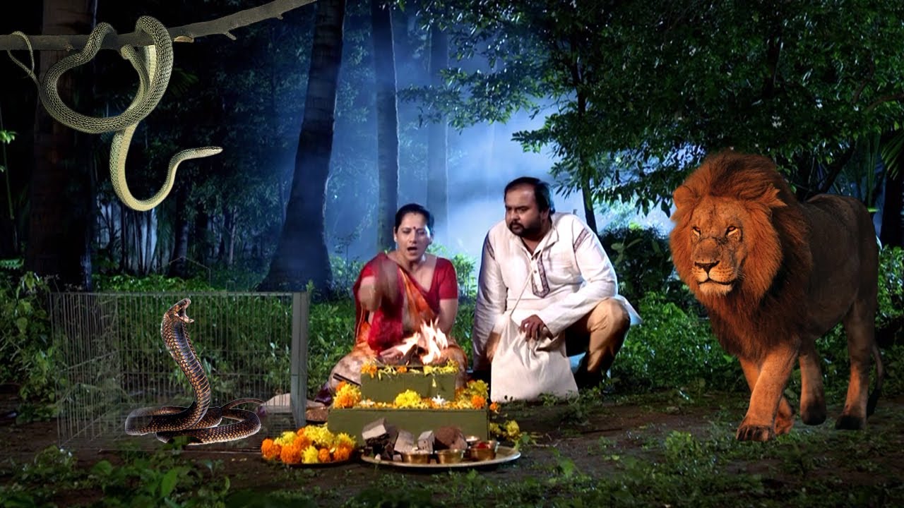 नकली माँ बाप बनकर घुसपैठियों ने इच्छाधारी नागिन को किया कैद | Ichhapyaari Naagin Episode 8,9,10,11